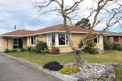 Photo of property in 173 Thomson Street, Tinwald, Ashburton, 7700