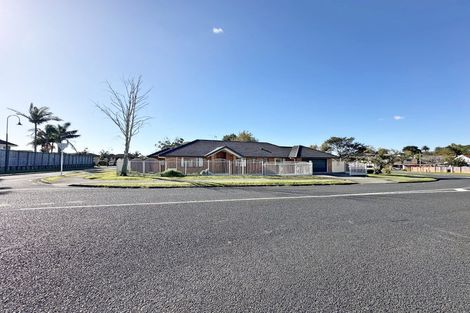 Photo of property in 157 Motatau Road, Papatoetoe, Auckland, 2025