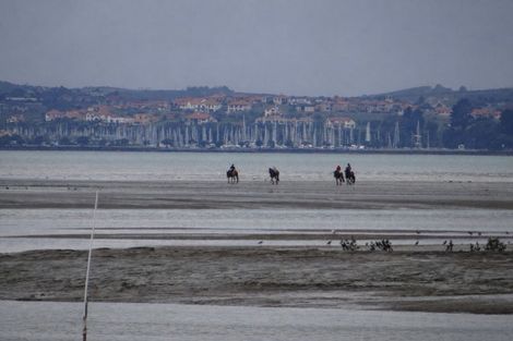 Photo of property in 109 Okura River Road, Okura, Auckland, 0792