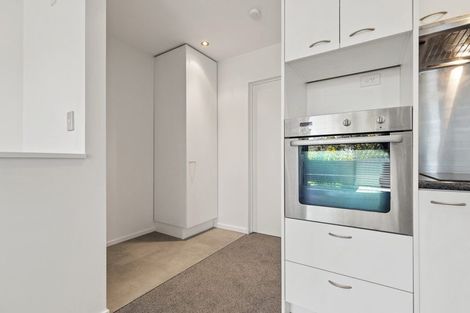 Photo of property in 139b Olliviers Road, Phillipstown, Christchurch, 8011