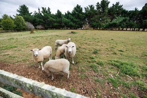 Photo of property in 179 Watershed Road, Bunnythorpe, Palmerston North, 4470