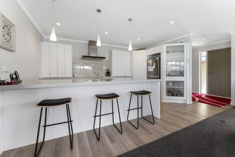 Photo of property in 17 Briar Crescent, Alexandra, 9320