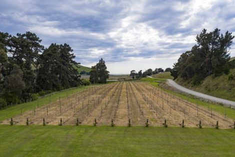 Photo of property in 265 Cable Station Road, Blind River, Seddon, 7285