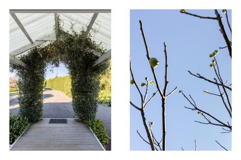 Photo of property in 240d Omokoroa Road, Omokoroa, Tauranga, 3114