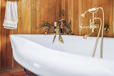 Photo of property in 5a Griffiths Place, Claudelands, Hamilton, 3214