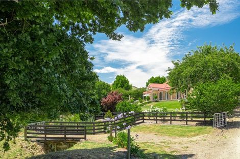 Photo of property in 447 Roto O Rangi Road, Rotoorangi, Cambridge, 3495