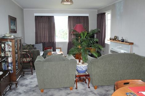 Photo of property in 100 Elizabeth Drive, Tokoroa, 3420
