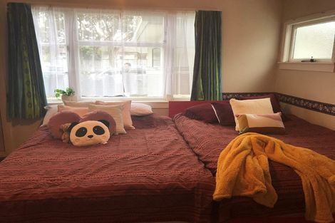 Photo of property in 19 Franklin Avenue, Hokowhitu, Palmerston North, 4410