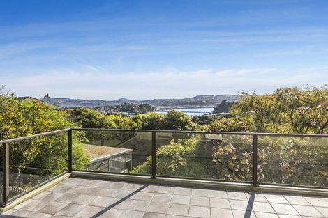 Photo of property in 87 Jeffery Street, Andersons Bay, Dunedin, 9013