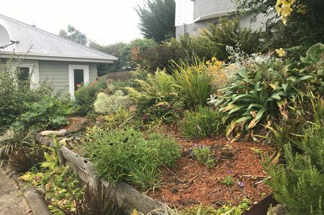 Photo of property in 33 Ventnor Street, Mornington, Dunedin, 9011