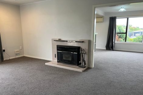 Photo of property in 25 Greenpark Street, Hoon Hay, Christchurch, 8025