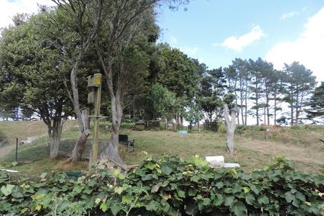 Photo of property in 225 Te Akau Road, Waingaro, Ngaruawahia, 3793