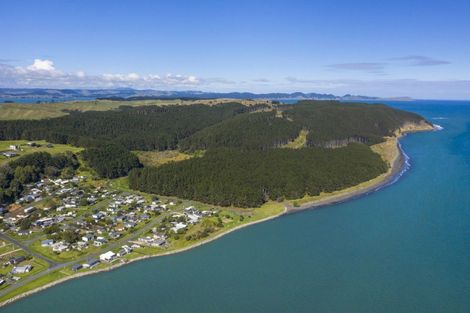 Photo of property in 66 Ash Terrace, Kawhia, 3889