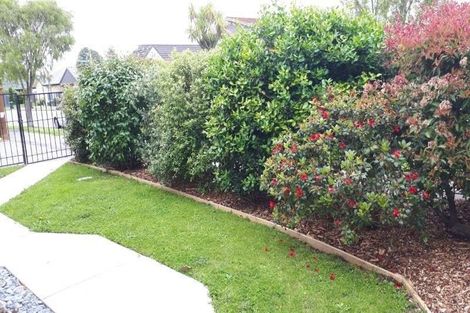 Photo of property in 1/8 Woodbank Street, Somerfield, Christchurch, 8024