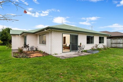 Photo of property in 7 Reabrook Place, Katikati, 3129