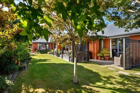 Photo of property in 44 Tremorne Avenue, Blenheim, 7201