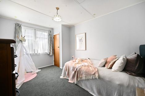 Photo of property in 60 Massey Street, Frankton, Hamilton, 3204