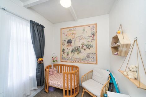 Photo of property in 518a Tremaine Avenue, Takaro, Palmerston North, 4410