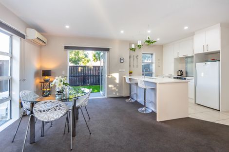 Photo of property in 535 Barbadoes Street, Edgeware, Christchurch, 8013