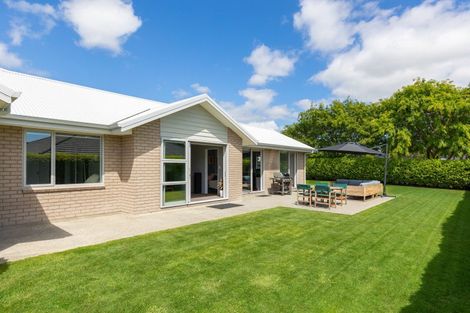 Photo of property in 215 Taylor Pass Road, Witherlea, Blenheim, 7201