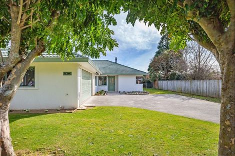 Photo of property in 13 Homewood Avenue, Levin, 5510