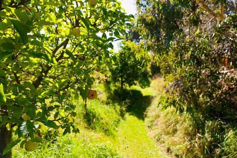 Photo of property in 317 Caseys Road, Blind River, Seddon, 7285