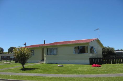 Photo of property in 161 Pollard Drive, Te Awamutu, 3800