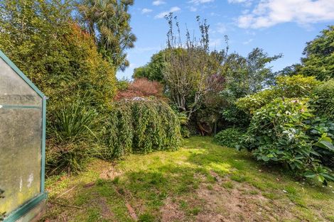 Photo of property in 65 Hunt Street, Andersons Bay, Dunedin, 9013