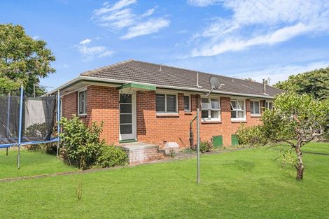 Photo of property in 77 Birdwood Avenue, Beckenham, Christchurch, 8023