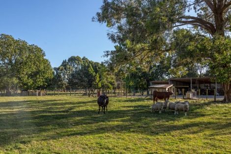 Photo of property in 182 Pukemiku Road, Mangamutu, Pahiatua, 4983