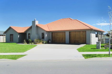 Photo of property in 20 Elmwood Avenue, Witherlea, Blenheim, 7201