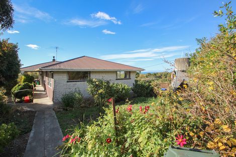 Photo of property in 22 Appleby Street, Hampden, 9410