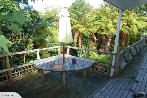 Photo of property in 13 Horne Street, Hamilton Central, Hamilton, 3204