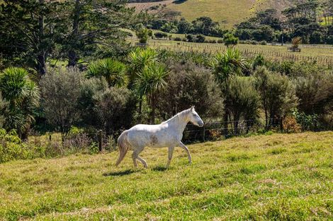 Photo of property in 117 Worrall Road, Kumeu, 0891