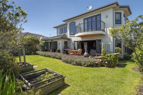 Photo of property in 307 Carmichael Road, Brookfield, Tauranga, 3110