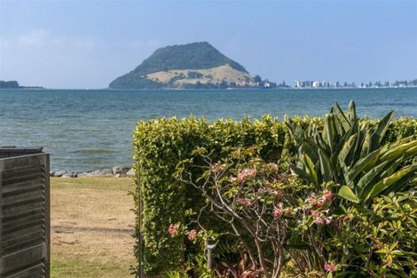 Photo of property in 71 Kulim Avenue, Otumoetai, Tauranga, 3110
