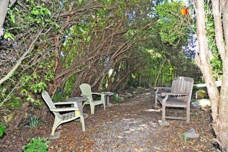 Photo of property in 21 Wray Street, Brockville, Dunedin, 9011