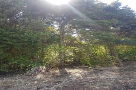 Photo of property in 306 Maunu Road, Horahora, Whangarei, 0110