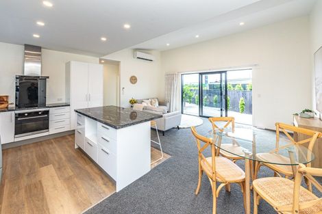 Photo of property in 49a Fitzherbert Avenue, Springvale, Whanganui, 4501