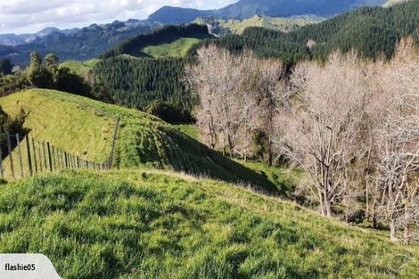 Photo of property in 1875 Kanakanaia Road, Whatatutu, Te Karaka, 4091