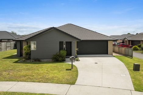 Photo of property in 8 Eastbank Drive, Katikati, 3129