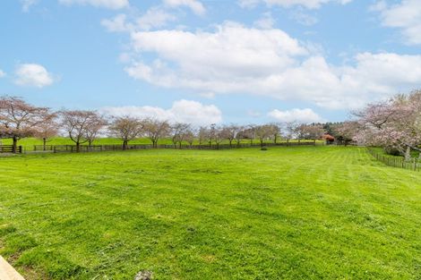 Photo of property in 84 Overdale Road, Putaruru, 3483
