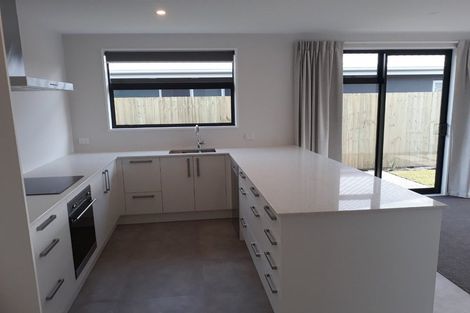 Photo of property in 58 William Nicholls Drive, Belfast, Christchurch, 8051