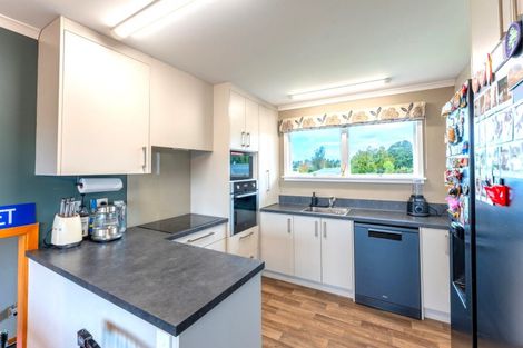 Photo of property in 48 Guise Street North, Temuka, 7920