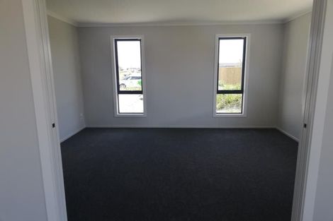 Photo of property in 17 Feltham Street, Richmond, 7020