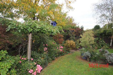 Photo of property in 53 Mcmurdo Street, Tinwald, Ashburton, 7700