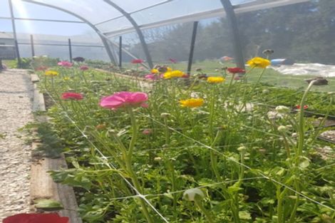 Photo of property in 426 Te Rahu Road, Poroporo, Whakatane, 3192