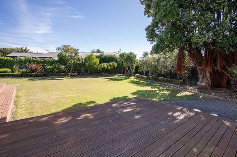 Photo of property in 284 Tremaine Avenue, Takaro, Palmerston North, 4412
