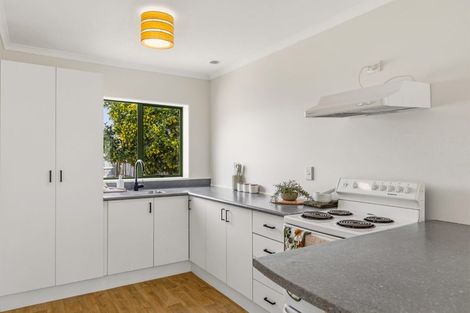 Photo of property in 19 Studholme Street, Morrinsville, 3300