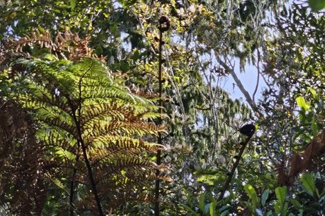 Photo of property in 215 Clifton Road, Kaiata, Greymouth, 7805